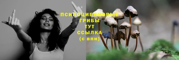 мет Верея